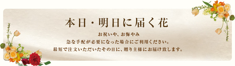 本日・明日に届く花