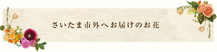 さいたま市外