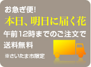 本日、明日に届く花
