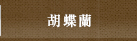 胡蝶蘭